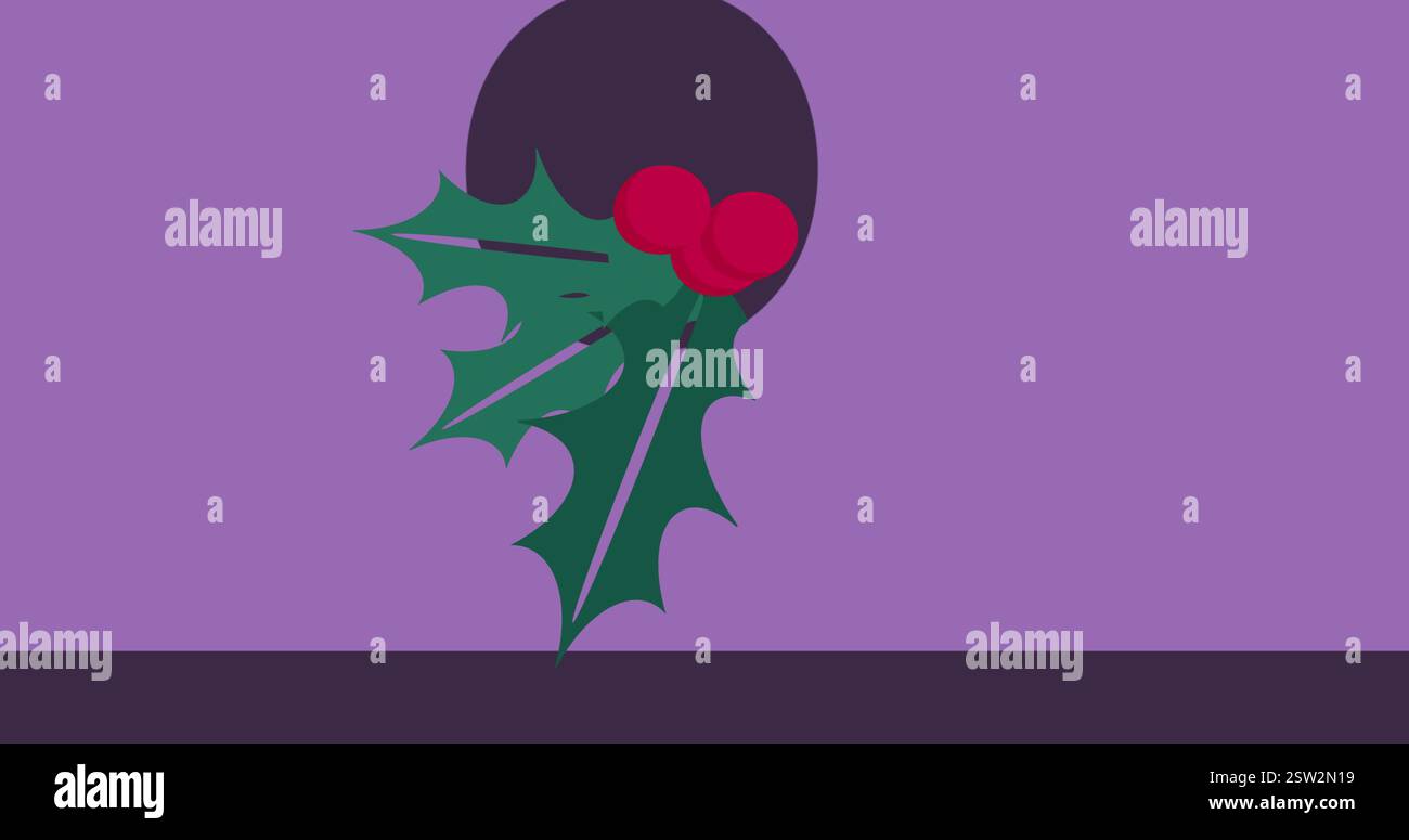 Immagine di christmas holly su sfondo viola Foto Stock