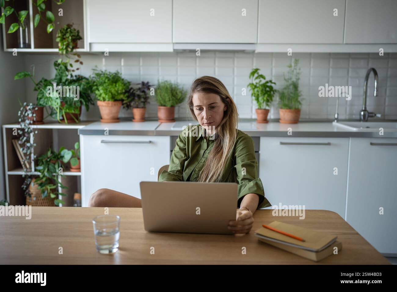 Produttività online di una donna incentrata sulla creatività che lavora con un notebook a casa con piante da casa. Foto Stock