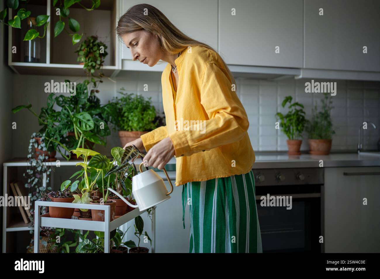 Donna amante delle piante che ha hobby ecologico di piante che crescono prendendosi cura, annaffiando piante da casa in vaso Foto Stock