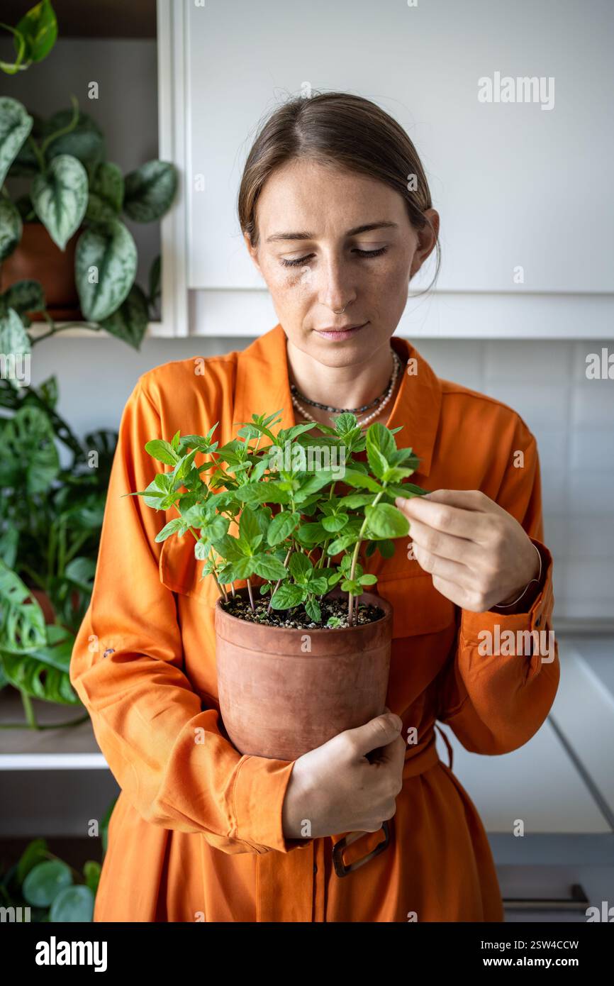 La donna abbraccia la pentola con le erbe di menta. Giardiniere donna in abito arancione tocca foglie di menta coltivata in casa Foto Stock