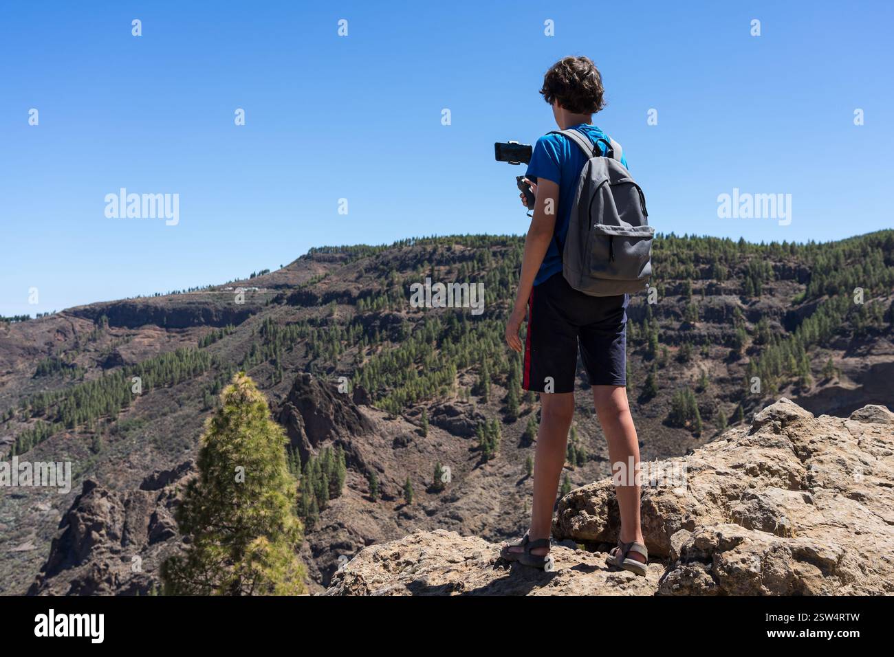 Un adolescente utilizza uno stabilizzatore d'immagine a tre assi per filmare un paesaggio naturale di montagna su uno smartphone Foto Stock