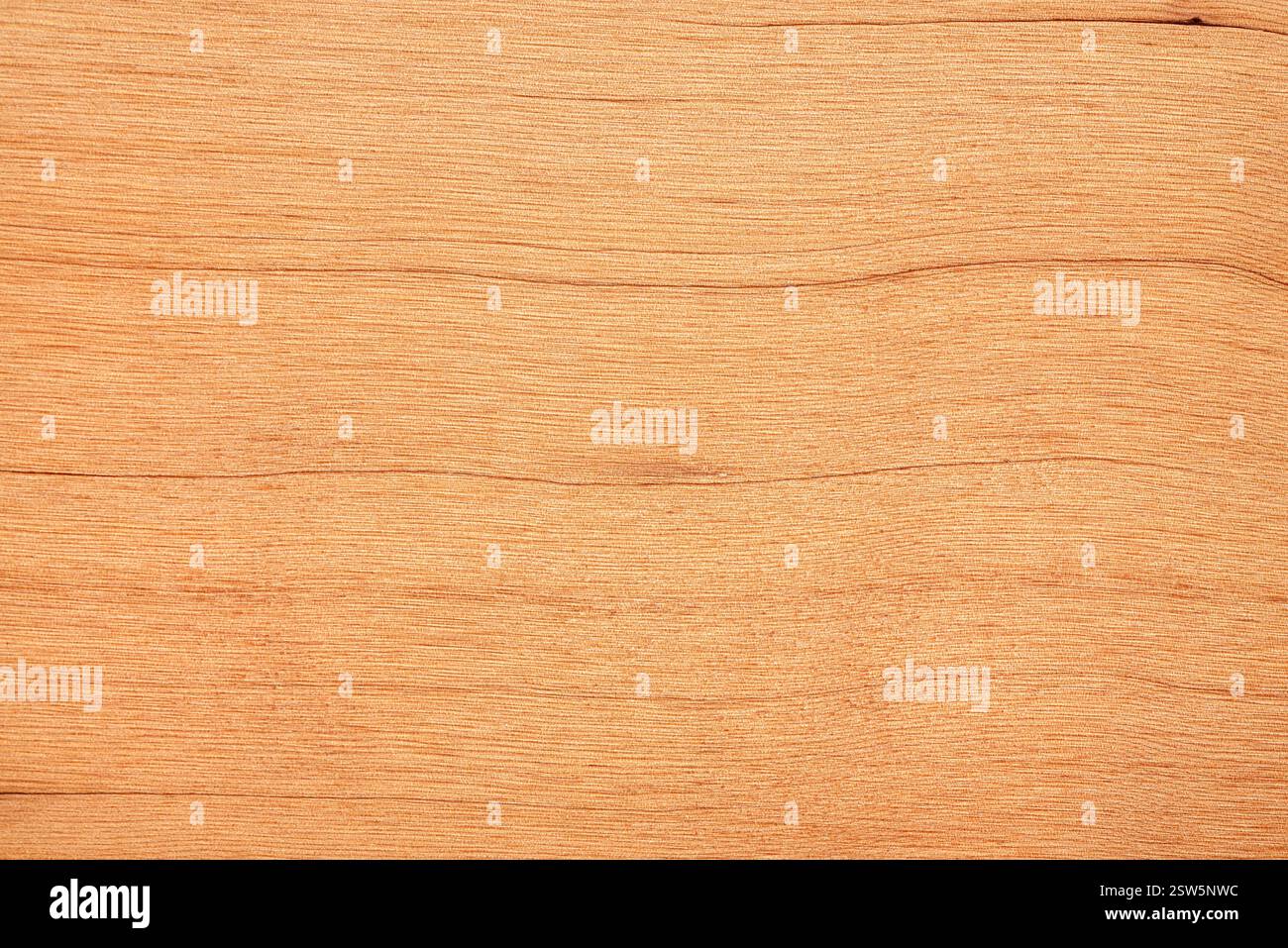 Fotografia macro di fondo di legno di pino, tavola di legno, tavola naturale, legno duro, schema testurizzato, vuoto, esempio Foto Stock