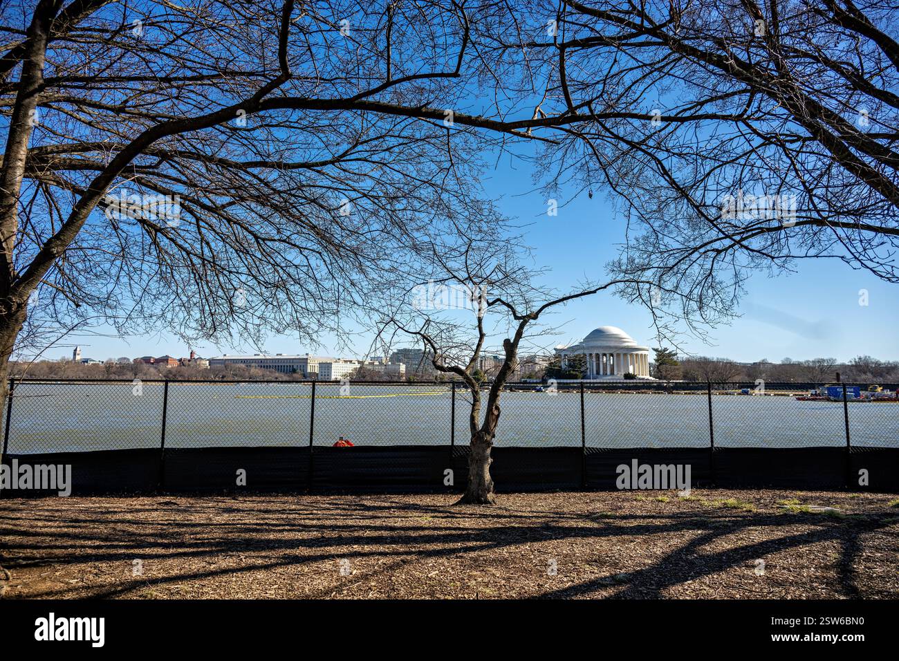 WASHINGTON DC, Stati Uniti — le attrezzature per l'edilizia e le barriere temporanee segnano il lavoro in corso al Tidal Basin Reconstruction Project, come fotografato il 14 febbraio 2025. L'importante ristrutturazione mira ad affrontare le questioni di lunga data di insediamento, erosione e inondazione intorno al bacino storico. Il progetto pluriennale, gestito dal National Park Service, prevede la ricostruzione della parete del mare, il miglioramento dei sistemi di drenaggio e la protezione dei famosi ciliegi che fiancheggiano il bacino. Foto Stock