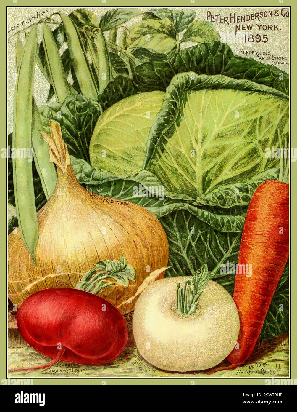 Catalogo di semi di verdura vintage arte storica 1895 cipolle rape cavolo carote Peter Henderson New York USA Foto Stock