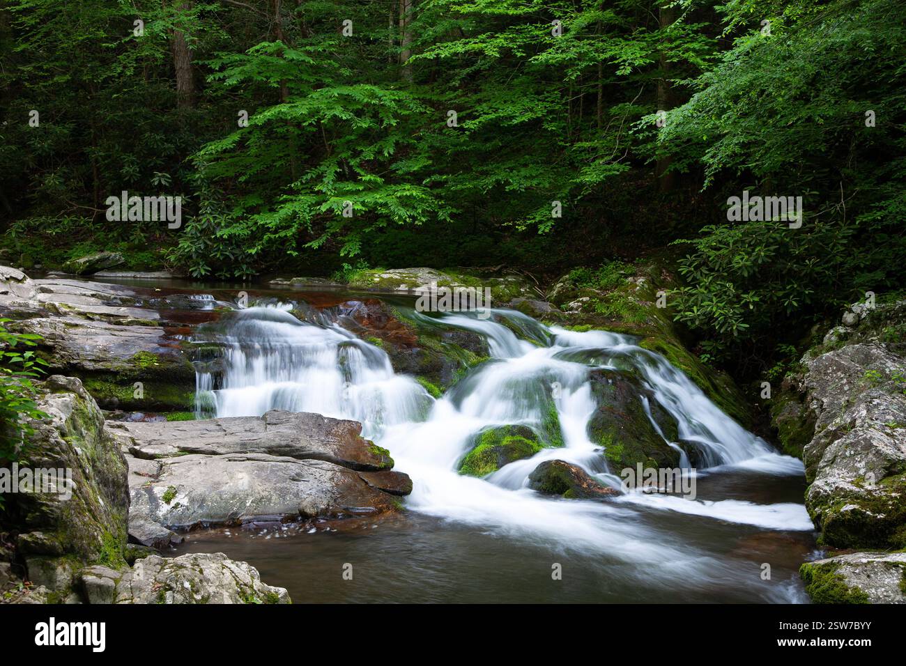 Cascata fluente nel Parco Nazionale delle Great Smoky Mountains Foto Stock