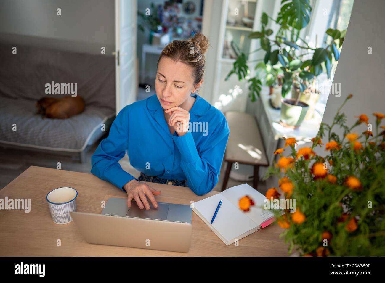 Donna premurosa che utilizza un notebook a casa per lavorare in remoto, studiare online, svolgere attività quotidiane in tutta comodità. Foto Stock