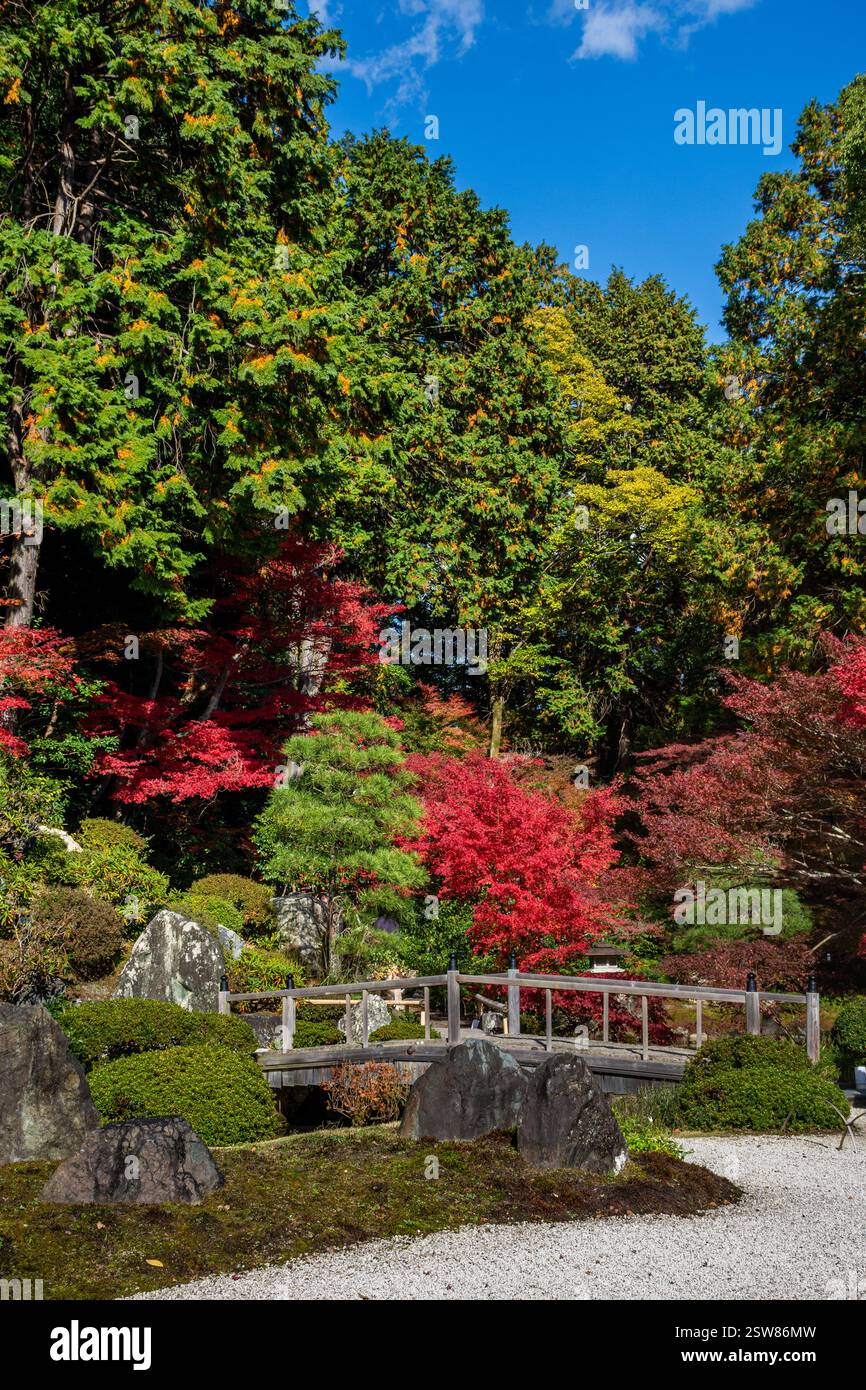 Konkai Komyouji Temple Gardens Kyoto Giappone Foto Stock
