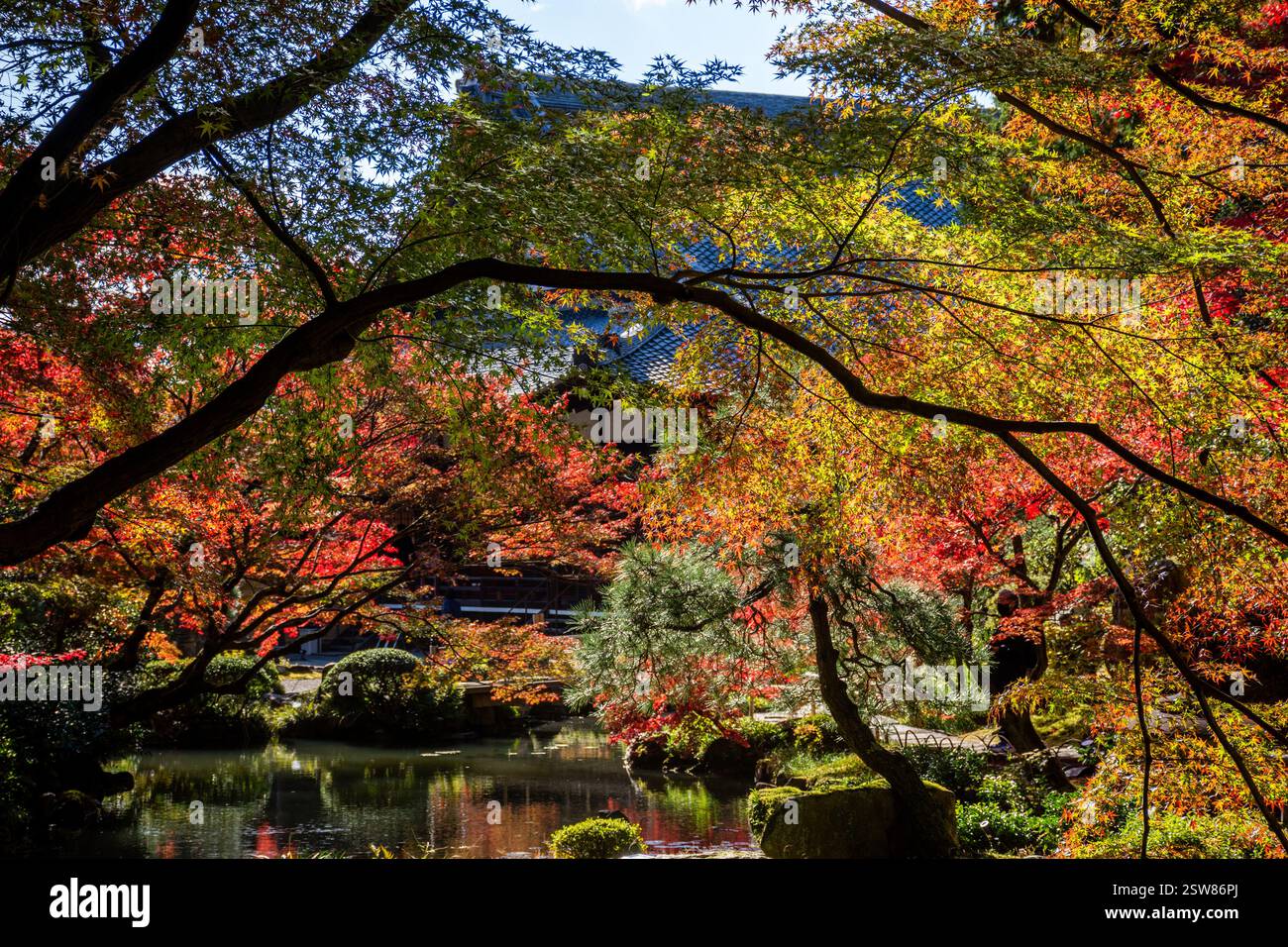 Konkai Komyouji Temple Gardens Kyoto Giappone Foto Stock