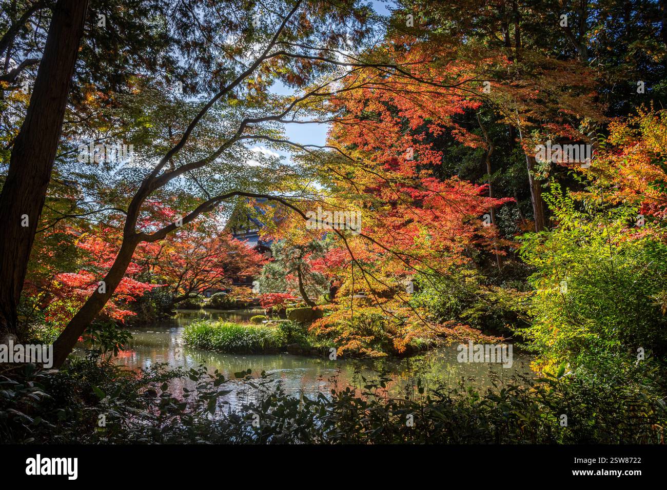 Konkai Komyouji Temple Gardens Kyoto Giappone Foto Stock