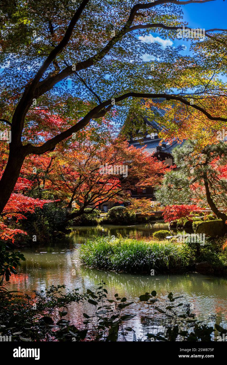 Konkai Komyouji Temple Gardens Kyoto Giappone Foto Stock