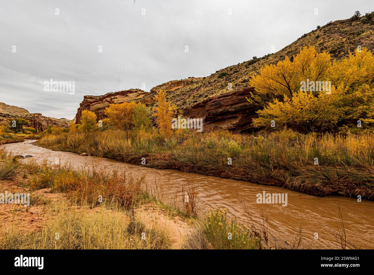 Il fiume Fremont scorre attraverso Fruita Utah e il Capitol Reef National Park durante la bella stagione autunnale. Foto Stock
