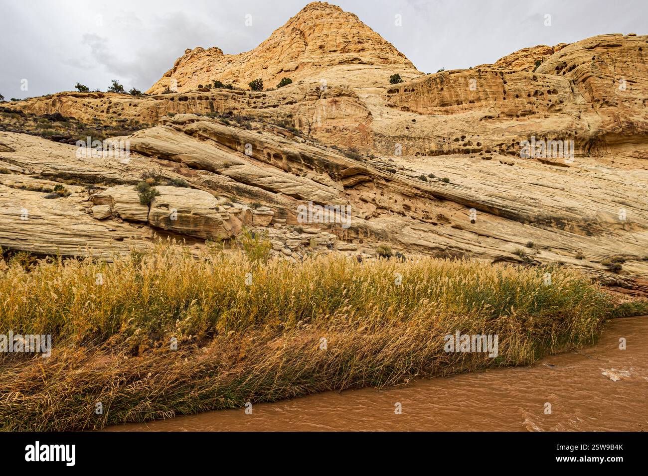 Il fiume Fremont scorre attraverso Fruita Utah e il Capitol Reef National Park durante la bella stagione autunnale. Foto Stock