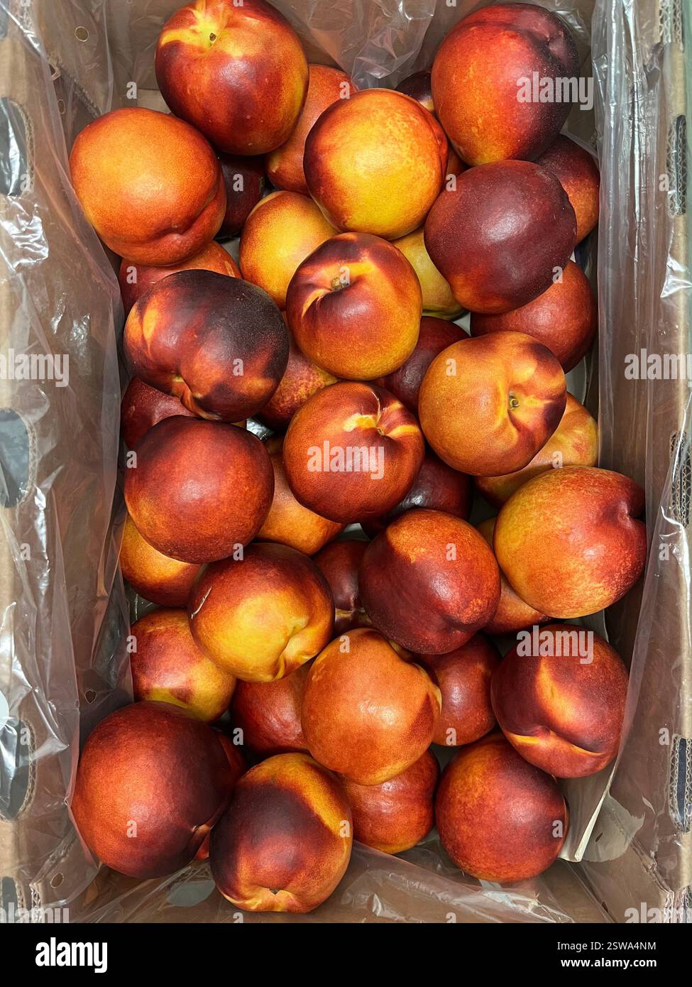 nettarine, frutta, magazzino, stoccaggio, cassa, agricoltura, approvvigionamento alimentare, logistica, stoccaggio di ortaggi, distribuzione, catena di approvvigionamento - Immagine stock catturata con smartphone