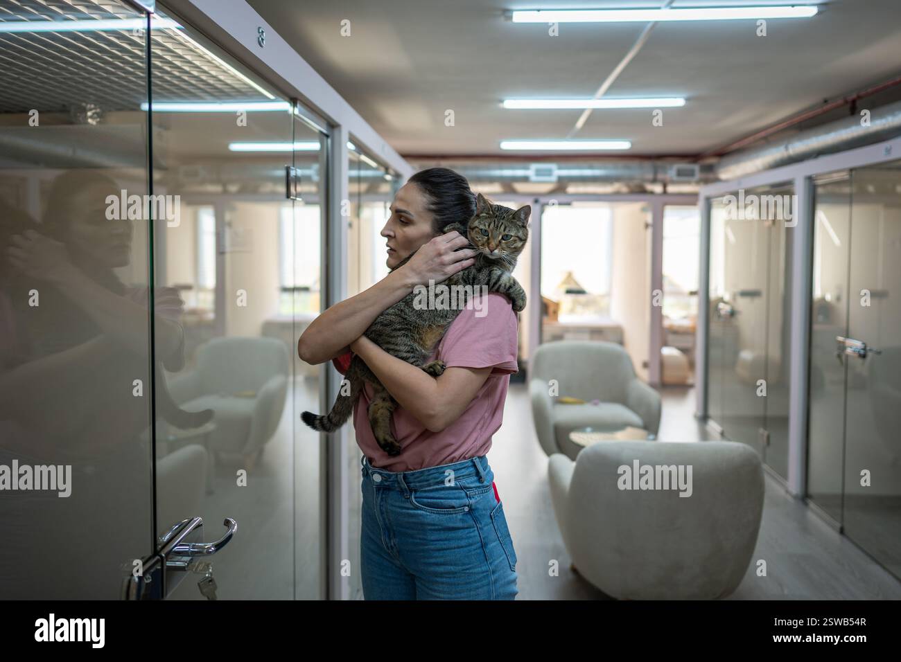 Il personale dell'hotel tiene in mano delicatamente il gatto, comfort durante l'assenza del proprietario. Facile separazione, adattamento, consolazione Foto Stock