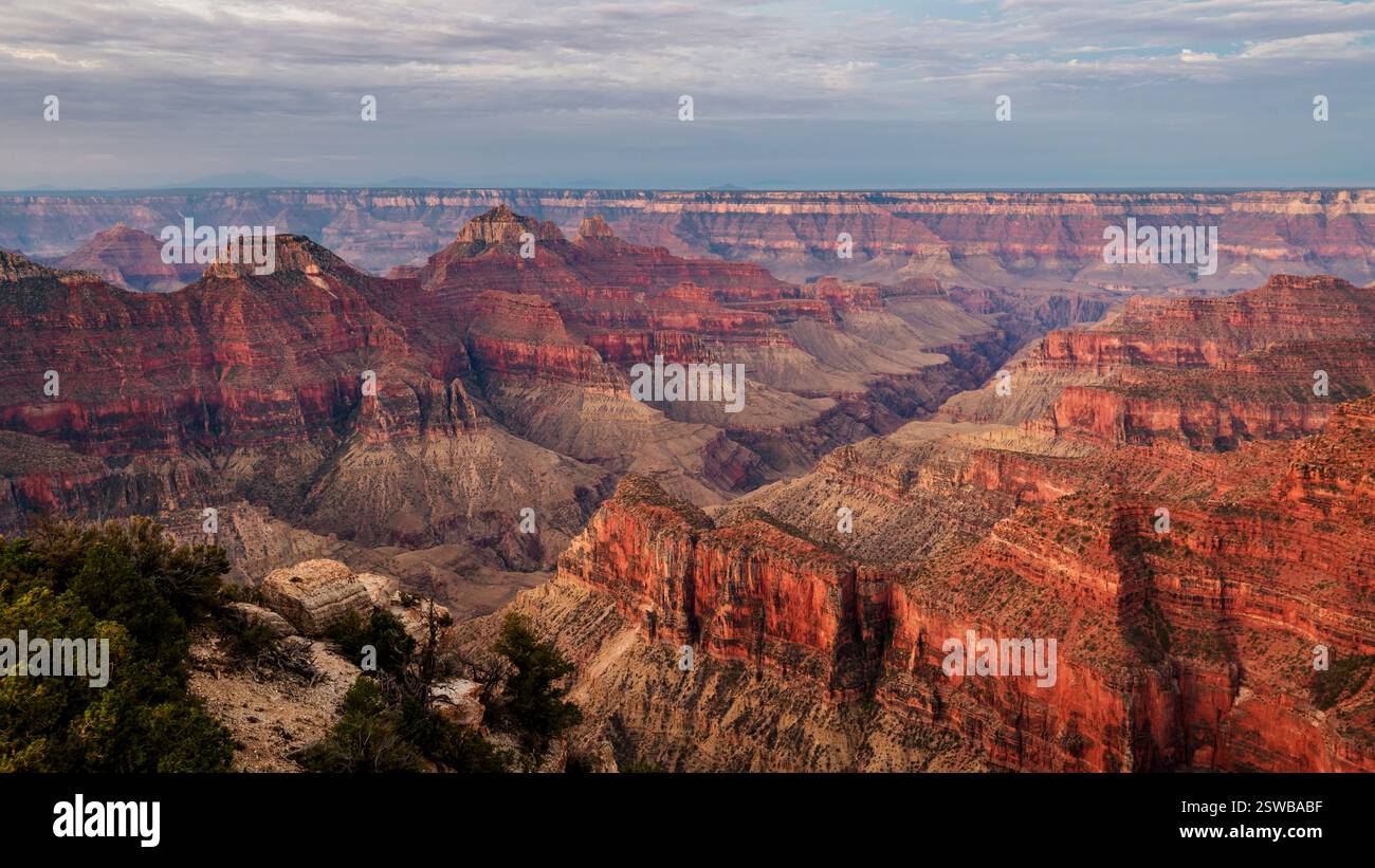 North Rim, Grand Canyon National Park, Arizona Foto Stock