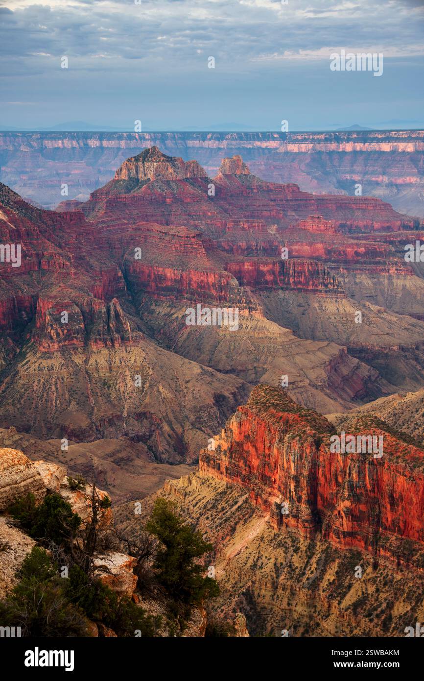 North Rim, Grand Canyon National Park, Arizona Foto Stock