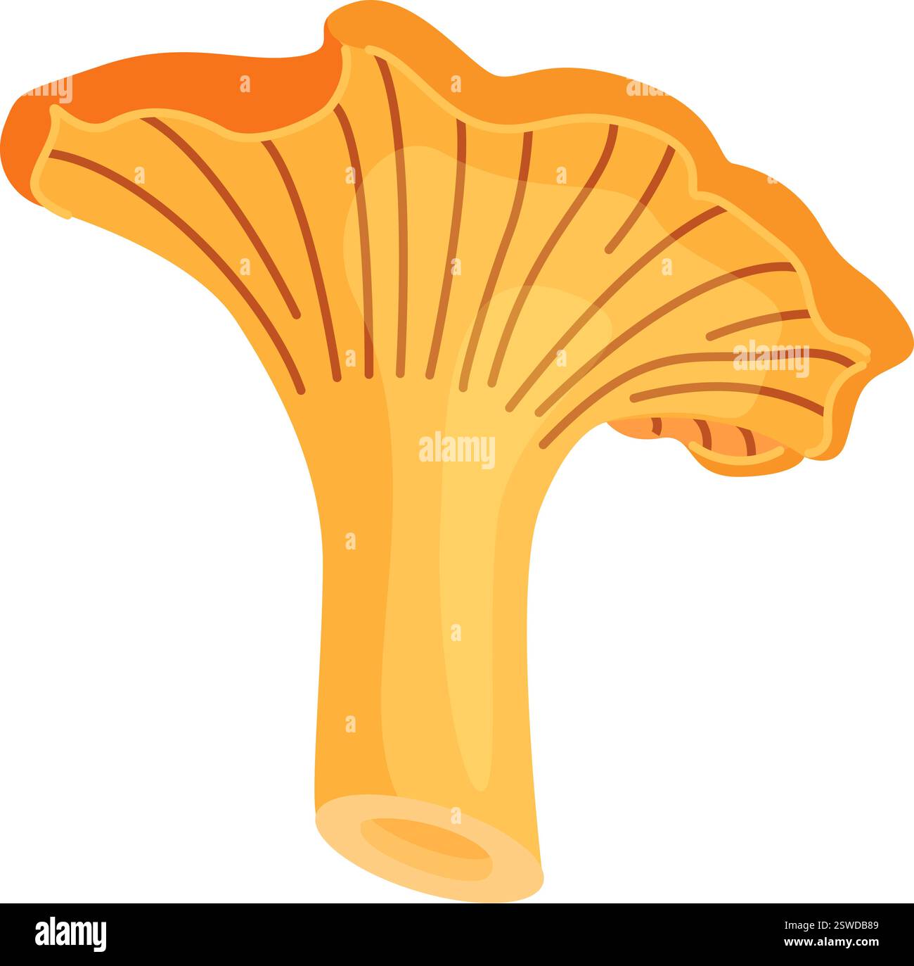 Funghi canterelle freschi disegnati a mano, icona isolata in stile piatto e alla moda. Funghi commestibili, funghi gialli. Illustrazione vettoriale Illustrazione Vettoriale