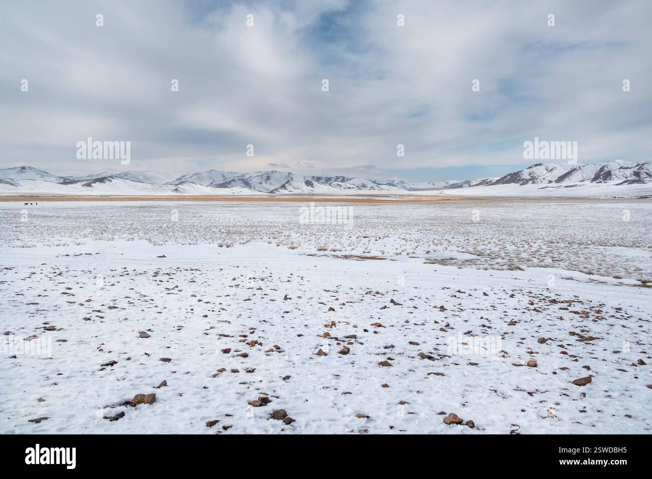 Steppa innevata con montagne all'orizzonte. Pascolo di montagna ricoperto di neve. Cespugli di erba autunnale sporgono da und Foto Stock