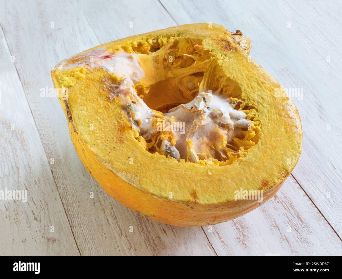 Muffa su una zucca. Il concetto di stoccaggio improprio delle verdure. Foto Stock