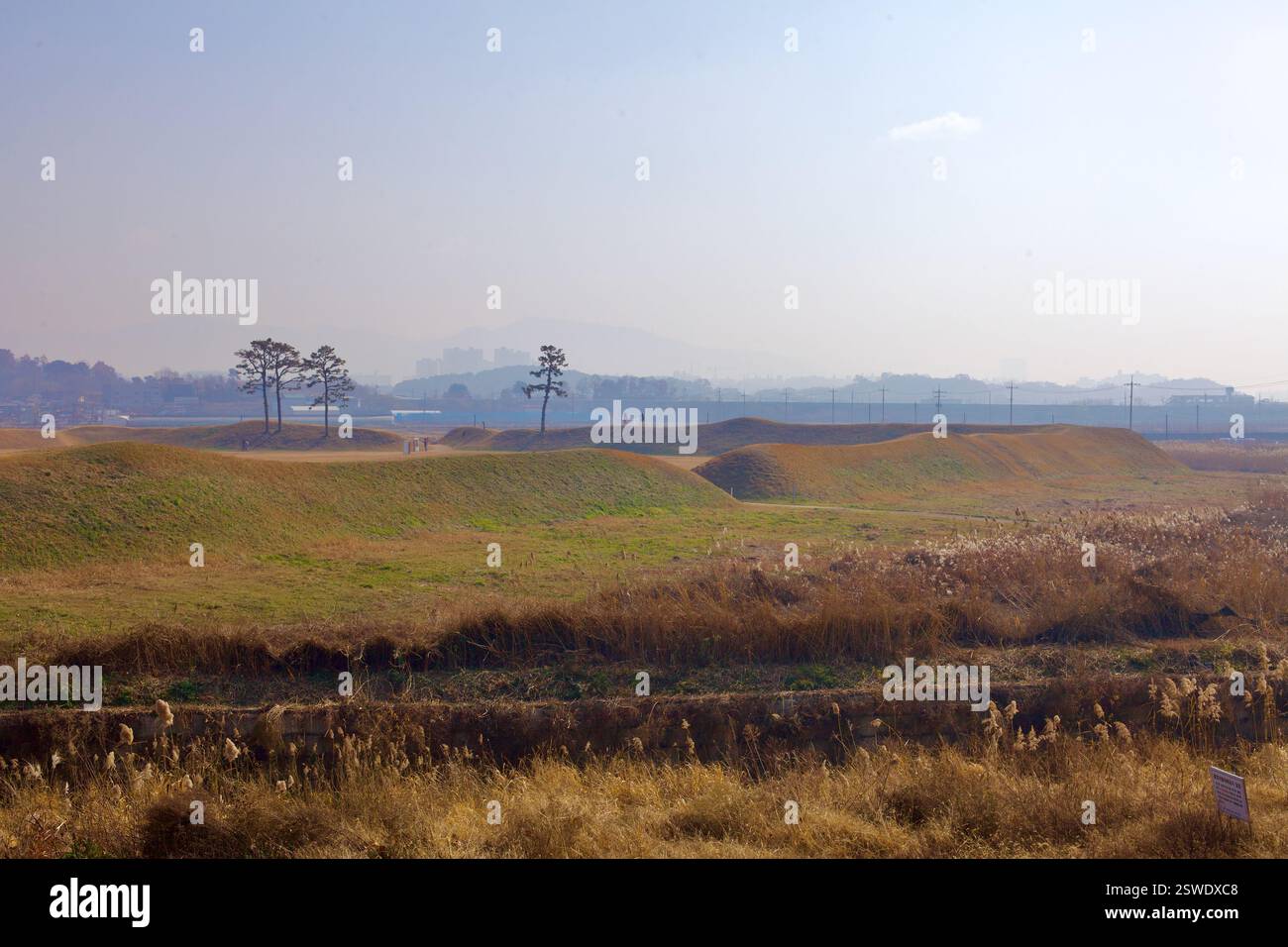 Cheongju, Corea del Sud - 11 novembre 2020: Le ondulate mura di terra della fortezza di Jeongbukdong Toseong si estendono attraverso le pianure aperte, con le macchie Foto Stock