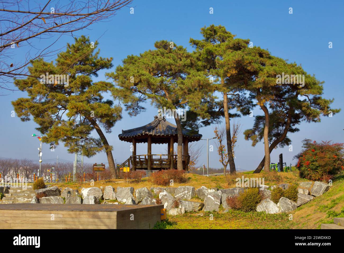 Sejong City, Corea del Sud - 12 novembre 2020: Un tradizionale padiglione in legno sorge tra i pini del Jocheon Lotus Park, che offre un'area di riposo ombreggiata Foto Stock