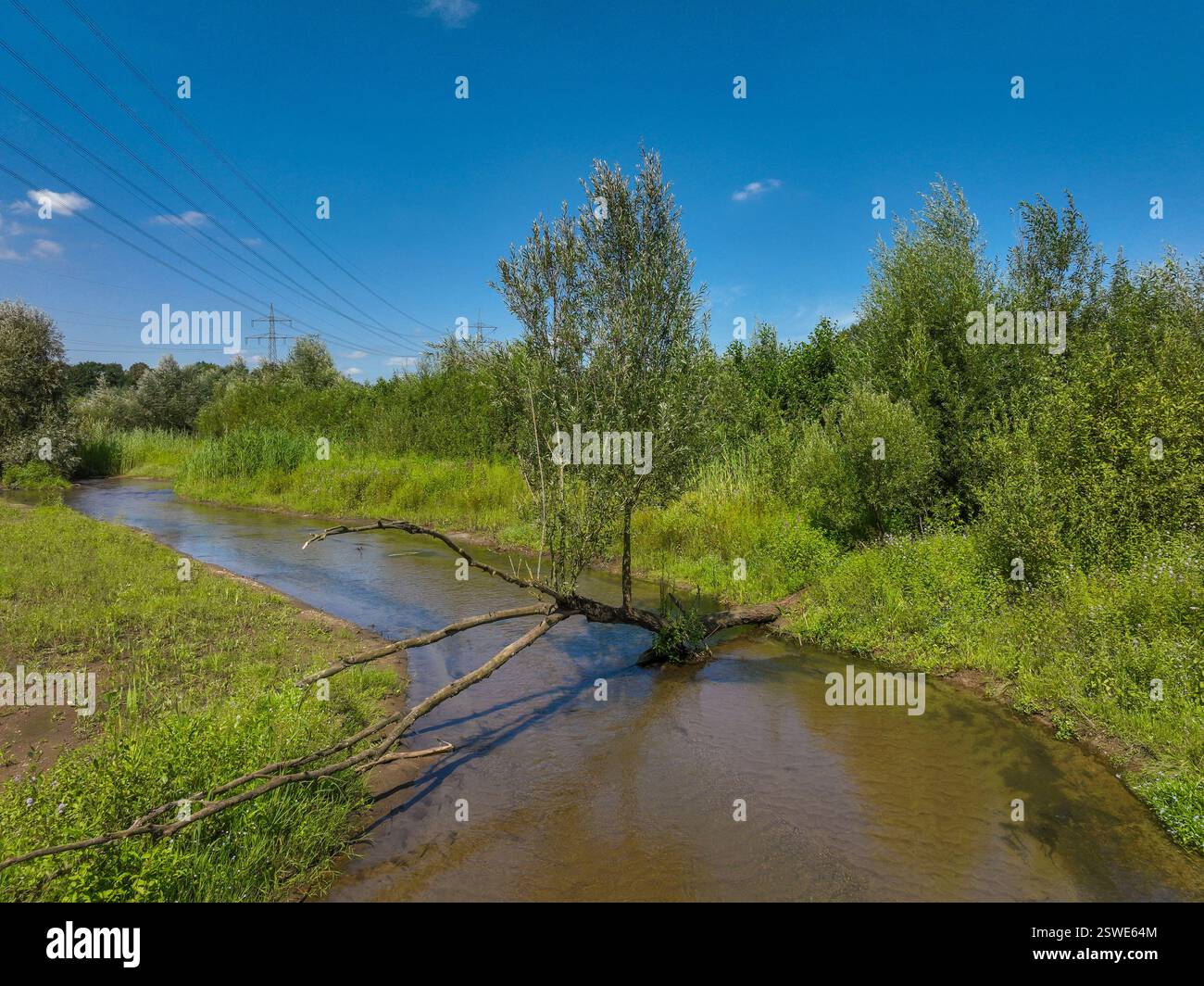 29.07.2024, Germania, Renania settentrionale-Vestfalia, Bottrop - Renaturalizzata Boye, l'affluente dell'Emscher, è stato trasformato in un bacino idrico quasi naturale Foto Stock