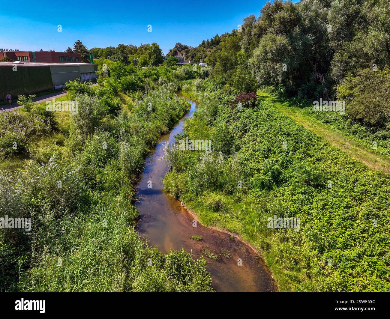 29.07.2024, Germania, Renania settentrionale-Vestfalia, Bottrop - il Boye rinaturalizzato, affluente dell'Emscher, fu trasformato in un'acqua quasi naturale Foto Stock