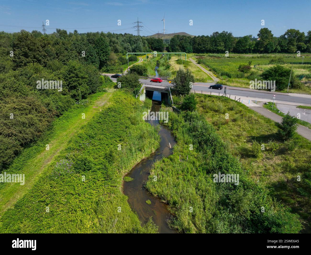 30.07.2024, Germania, Renania settentrionale-Vestfalia, Bottrop - Renaturalizzata Boye, l'affluente dell'Emscher, è stato trasformato in un bacino idrico quasi naturale Foto Stock