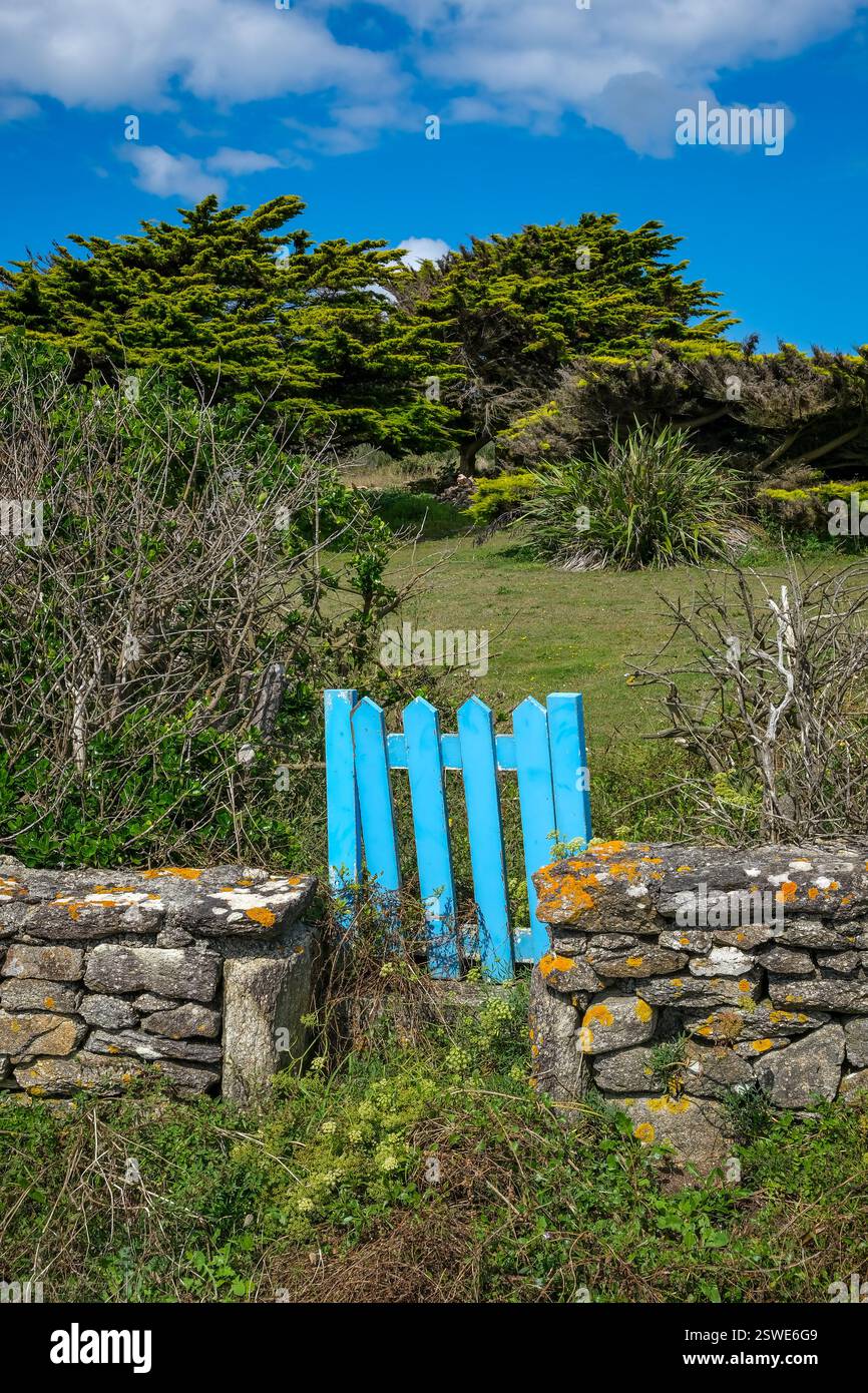 05.09.2024, Francia, Bretagna, Pors Poulhan - pittoresco muro di pietra a secco con cancello blu sul sentiero escursionistico costiero GR36. 00X240905D073CAROEX.JP Foto Stock