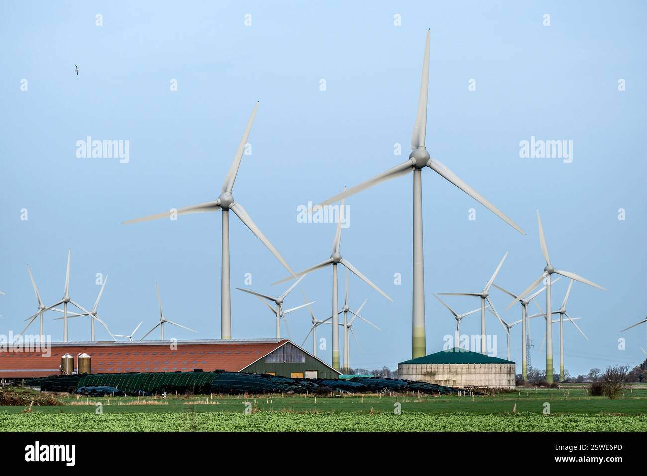 20.12.2024, Germania, bassa Sassonia, Norden - turbine eoliche, parco eolico vicino a Norden, Frisia orientale. Di fronte a una fattoria con impianto di biogas. 00X241220D011CAROE Foto Stock