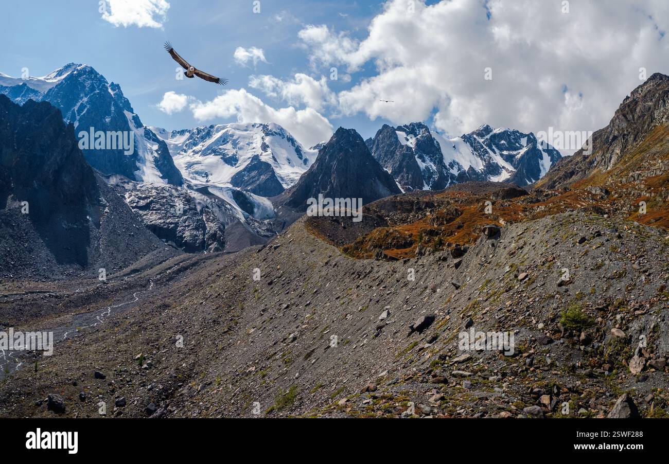 Sentiero lungo la cresta della montagna, un ripido pendio. Foto Stock
