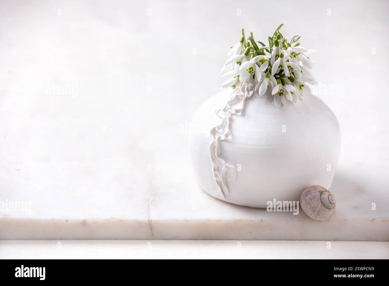 Bouquet di fiori di gocce di neve in vaso bianco Foto Stock