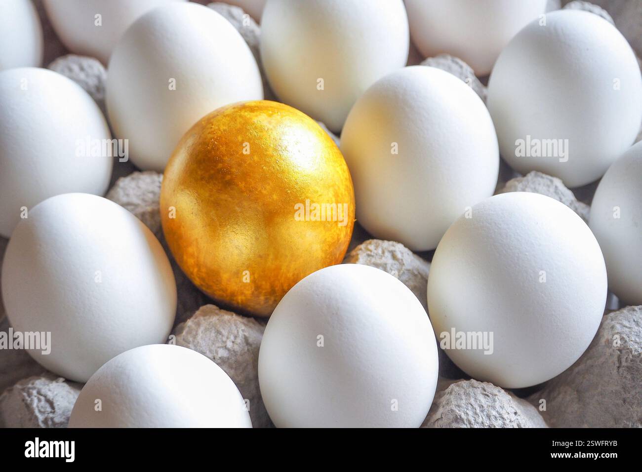 Uovo dorato tra le uova di gallina bianca in una confezione di cartone. Foto Stock