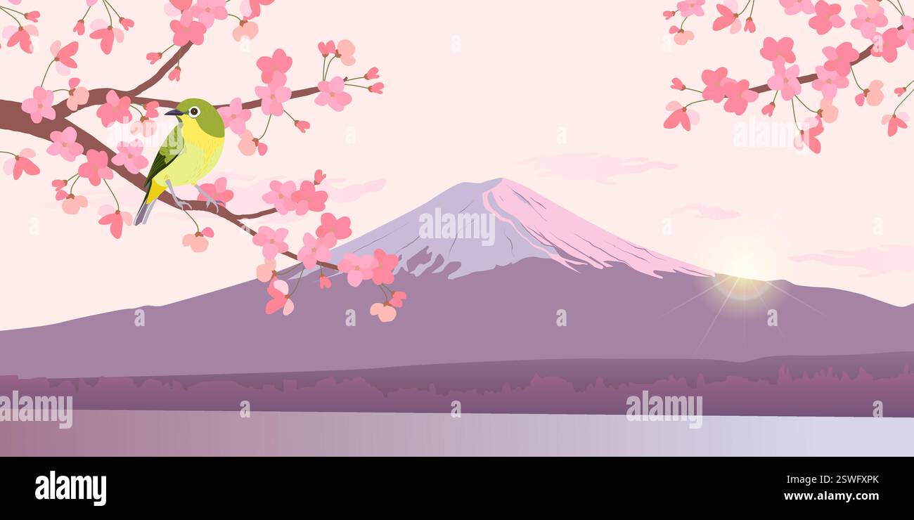 Grafica di Uguisu e Sakura sullo sfondo di Fuji. Nightingale giapponese su un ramo di ciliegie in fiore. Illustrazione vettoriale di Bush Wabler. Fudjiyama al sole. Illustrazione Vettoriale