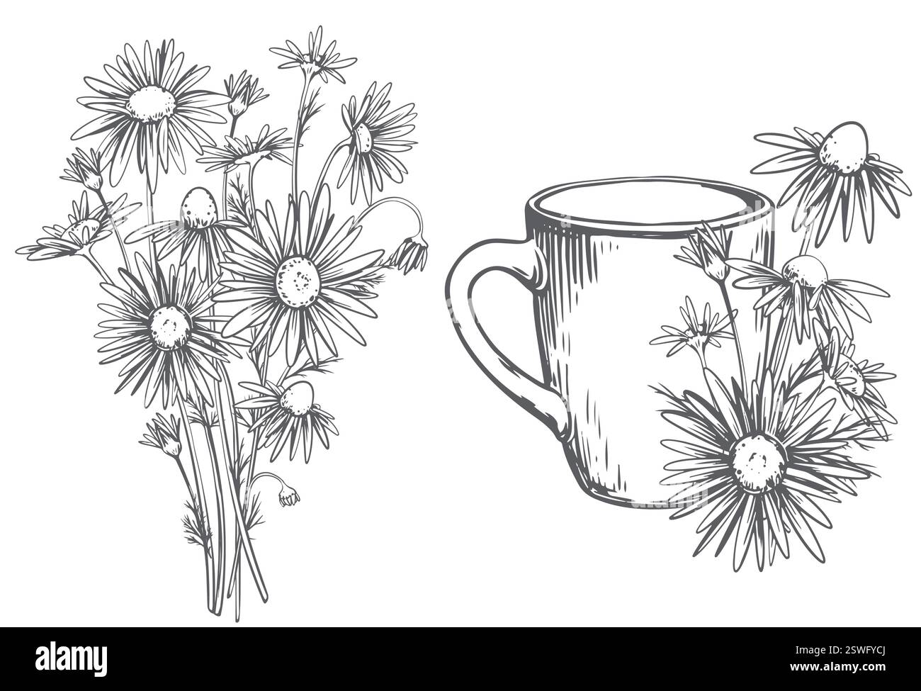 Tazza in ceramica bianca con tè alle erbe con fiori di camomilla su sfondo bianco. Illustrazione vettoriale nella tecnica di incisione. Disegno della linea. Bevanda salutare. Illustrazione Vettoriale