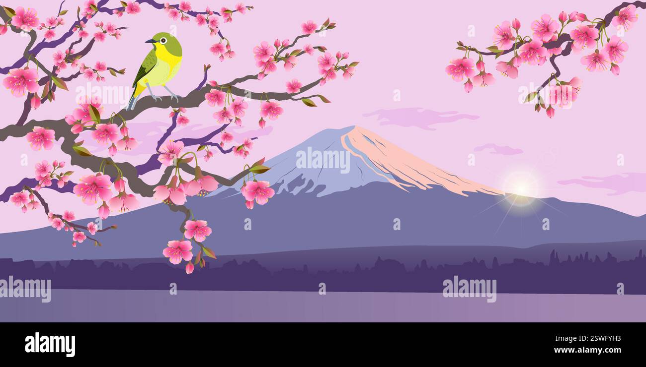 Grafica realistica di Uguisu e Sakura sullo sfondo di Fuji. Nightingale giapponese su un ramo di ciliegie in fiore. Illustrazione vettoriale di Bush Wabler. Fudjiyama al sole. Illustrazione Vettoriale