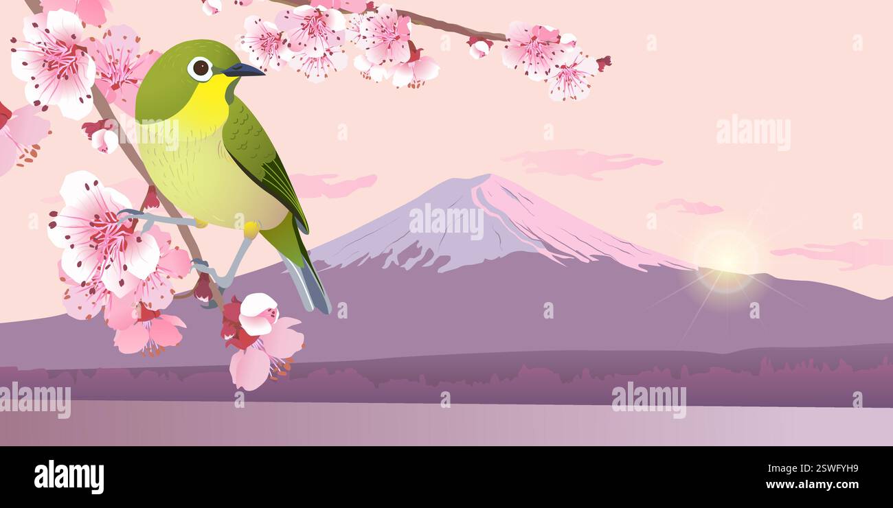 Nightingale giapponese su un ramo di fiori di ciliegio. Hanami in Giappone. Monte Fuji in primavera. Alba nel cielo in primavera. Rosa Sakura e Uguisu Illustrazione Vettoriale