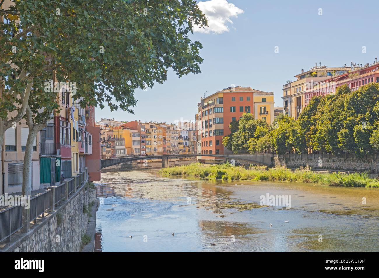 Il fiume Onyar scorre attraverso Girona, Catalogna, Spagna, Europa Foto Stock