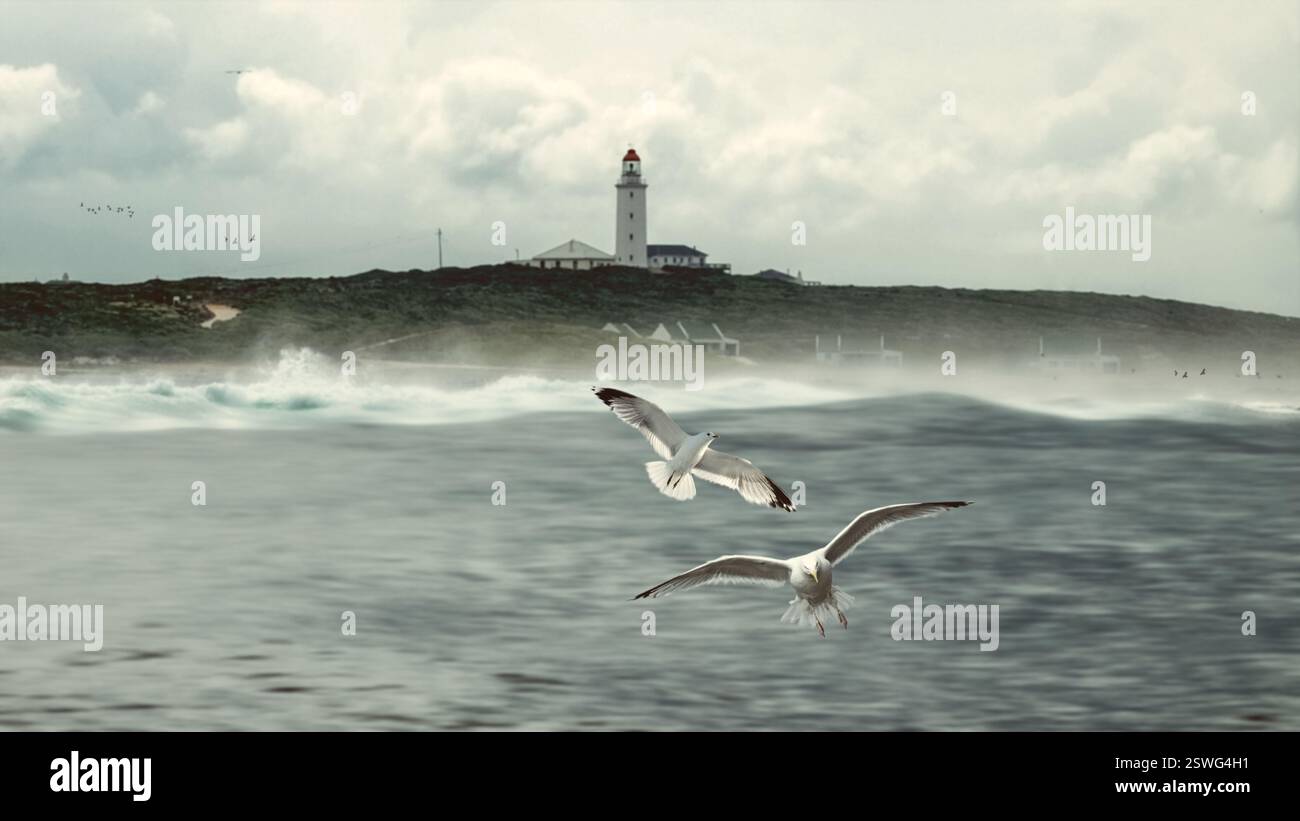 Faro di Danger Point all'estremità meridionale di Walker Bay, vicino a Gansbay, in Sudafrica. Due gabbiani volano sull'oceano, con un faro dentro Foto Stock