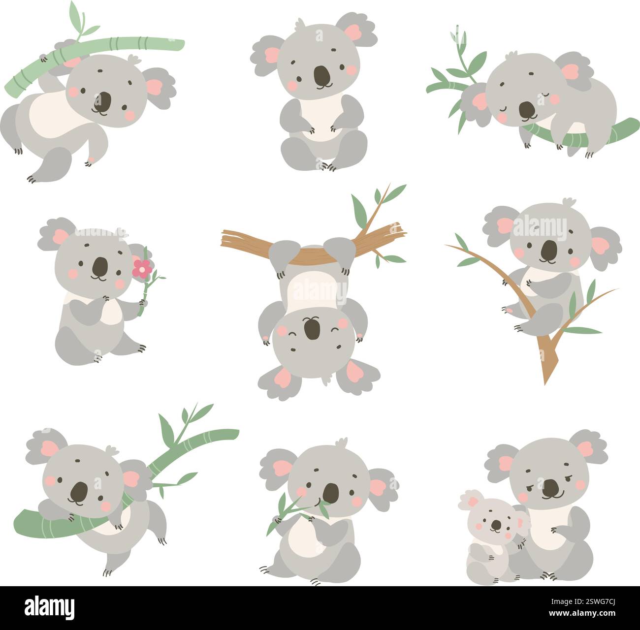 Carino koala. Koala cartoni animati, orsi australiani selvatici sui rami degli alberi di eucalipto. Animali divertenti in pose diverse, bambini mascotte vettoriali Illustrazione Vettoriale