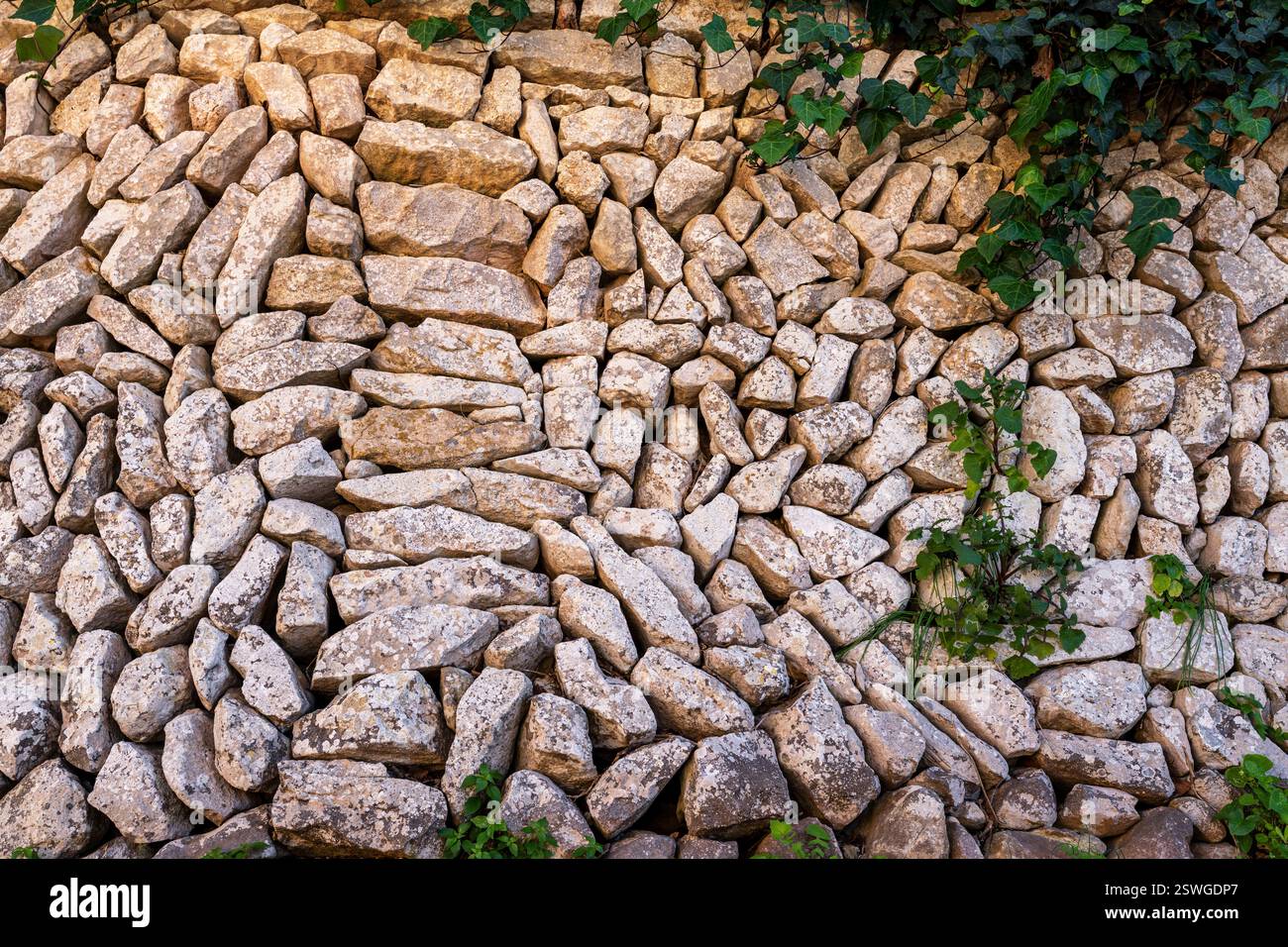 Muro di pietra viva senza Malta, Randa, Algaida, Maiorca, Isole Baleari, Spagna Foto Stock