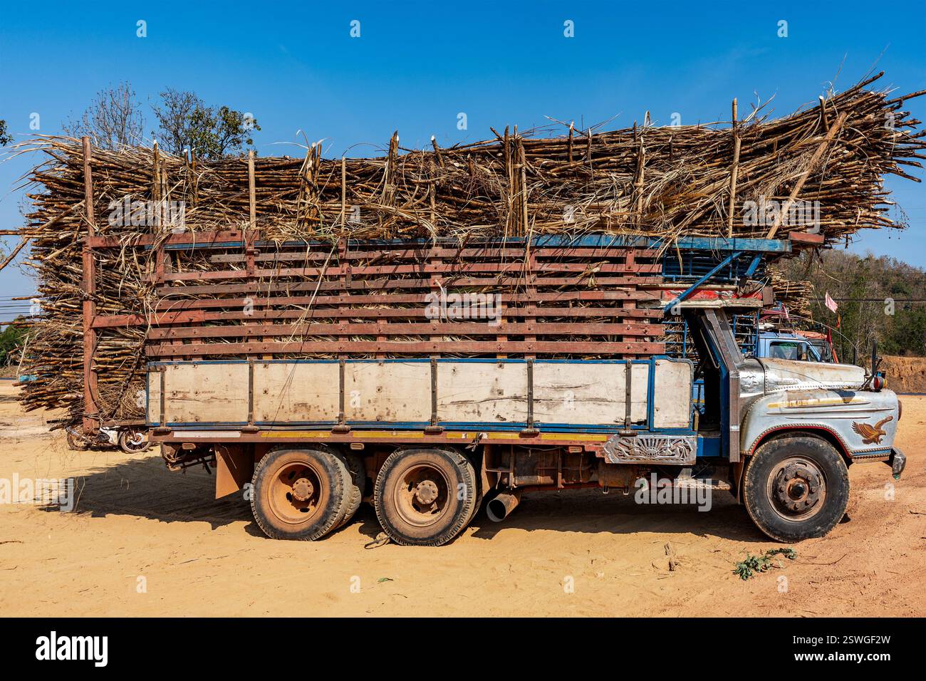 Un grande camion carico di canna da zucchero. Il carrello è parcheggiato su un terreno sporco sotto un cielo azzurro. La canna da zucchero è impilata in alto sopra il letto del camion, Foto Stock