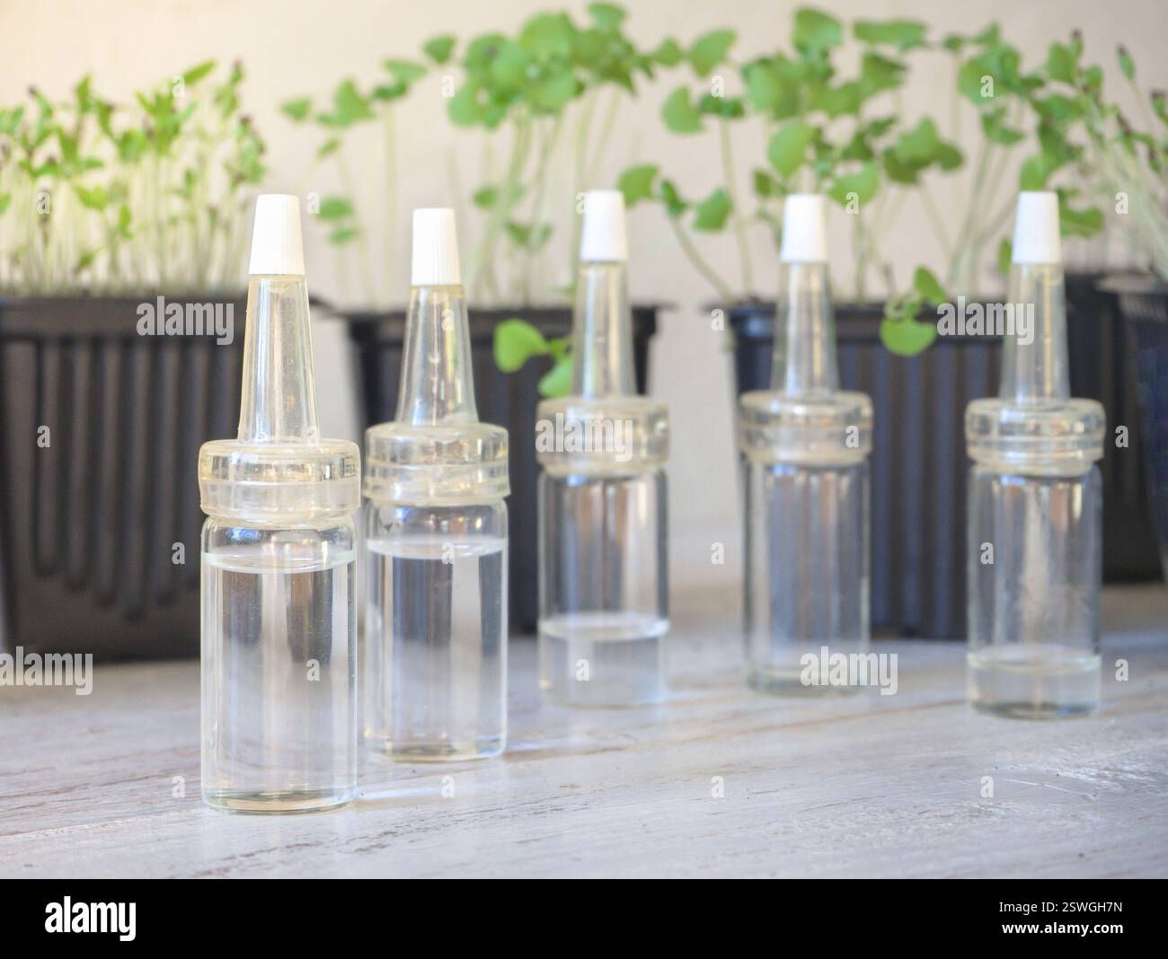 Bottiglie in vetro di fondazioni liquide con contagocce. Concetto di prodotto naturale di bellezza biologica. Foto Stock