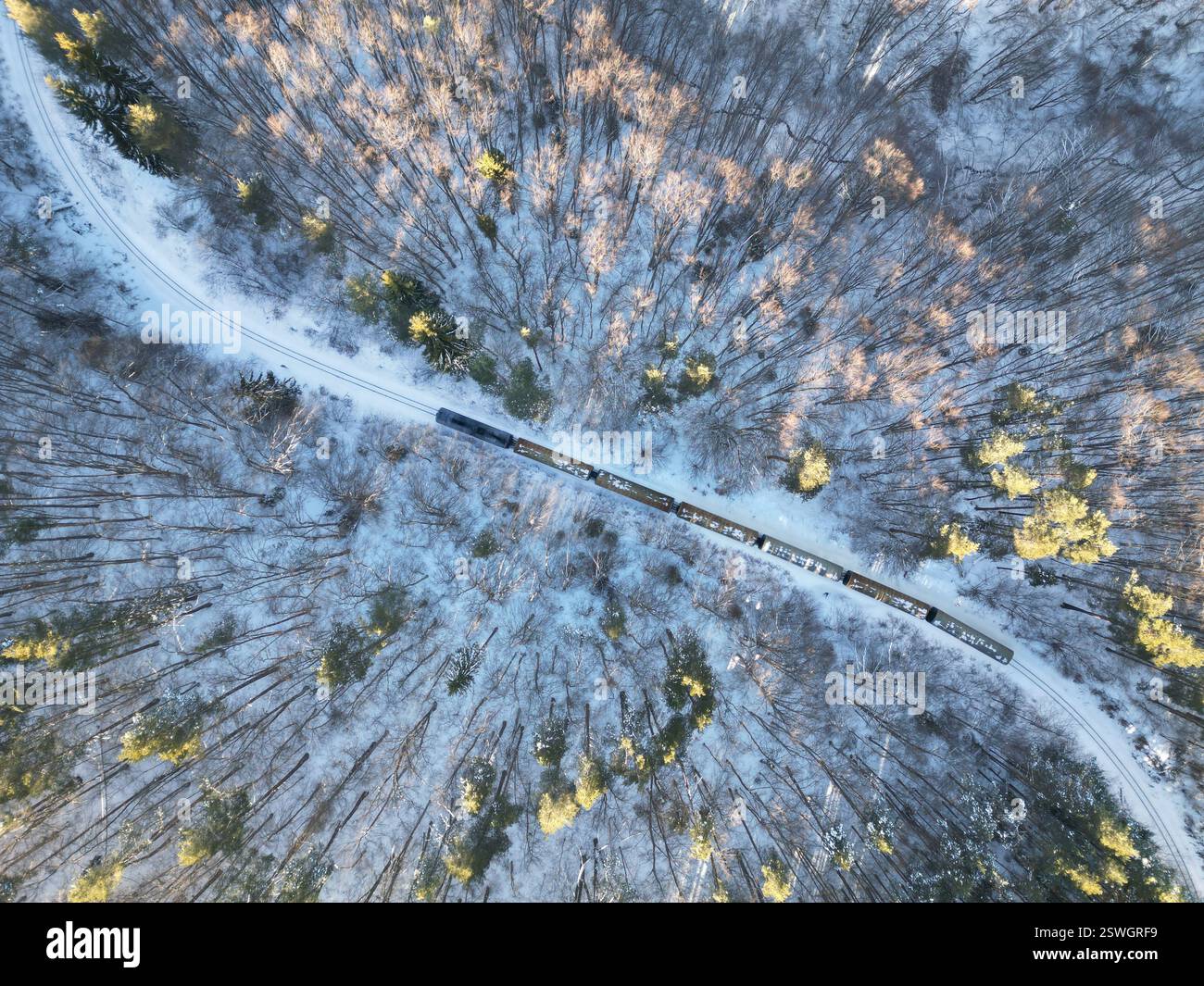 Vista aerea di un piccolo treno corto con solo sei vagoni, che si muove serpeggiando e curvando attraverso alberi innevati ghiacciati nella foresta Foto Stock
