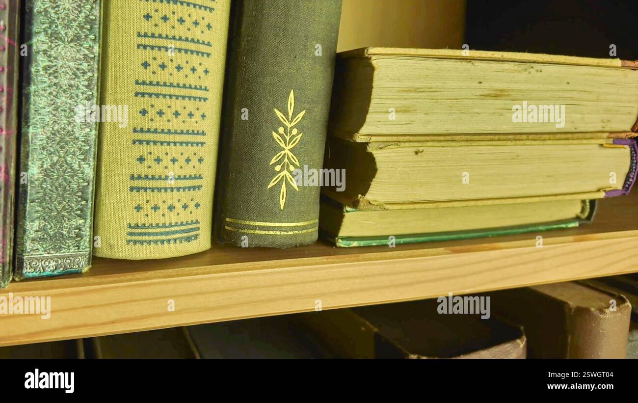 Una vista di due file di libri molto vecchi nella libreria. Libri d'epoca in una libreria antica. Il concetto di educazione e l'amore per la conoscenza Foto Stock