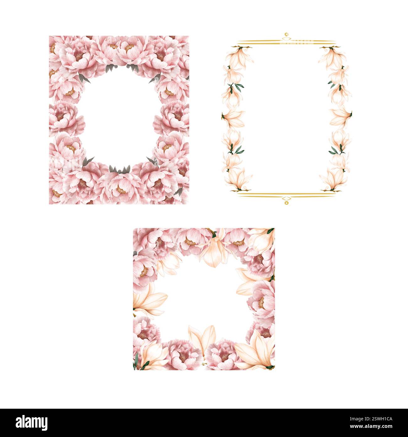 Set di acquerelli incorniciano magnolia e fiori di peonia. Fiori eleganti su sfondo bianco isolato. Foto Stock