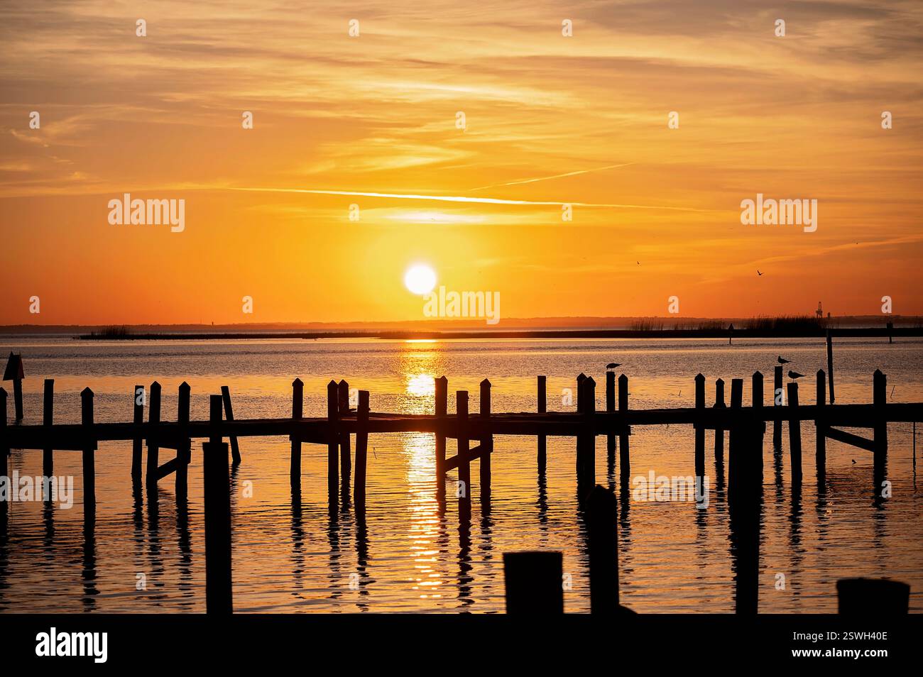 Molo sagomato e uccelli davanti a un tramonto dorato sulle acque calme Foto Stock