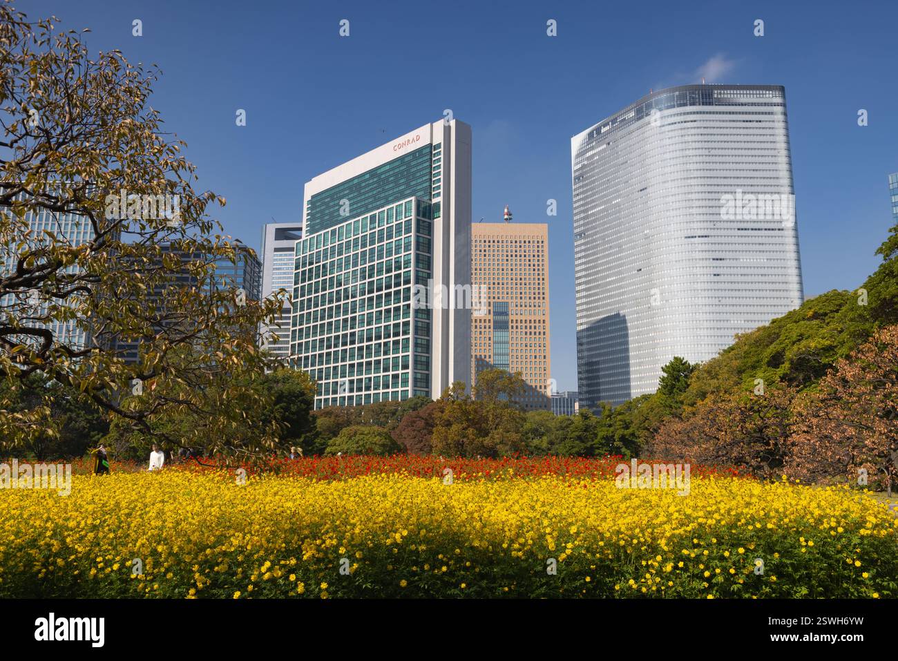 Autunno nei giardini Hamarikyu. E' un parco pubblico a Chuo Ward, To Foto Stock