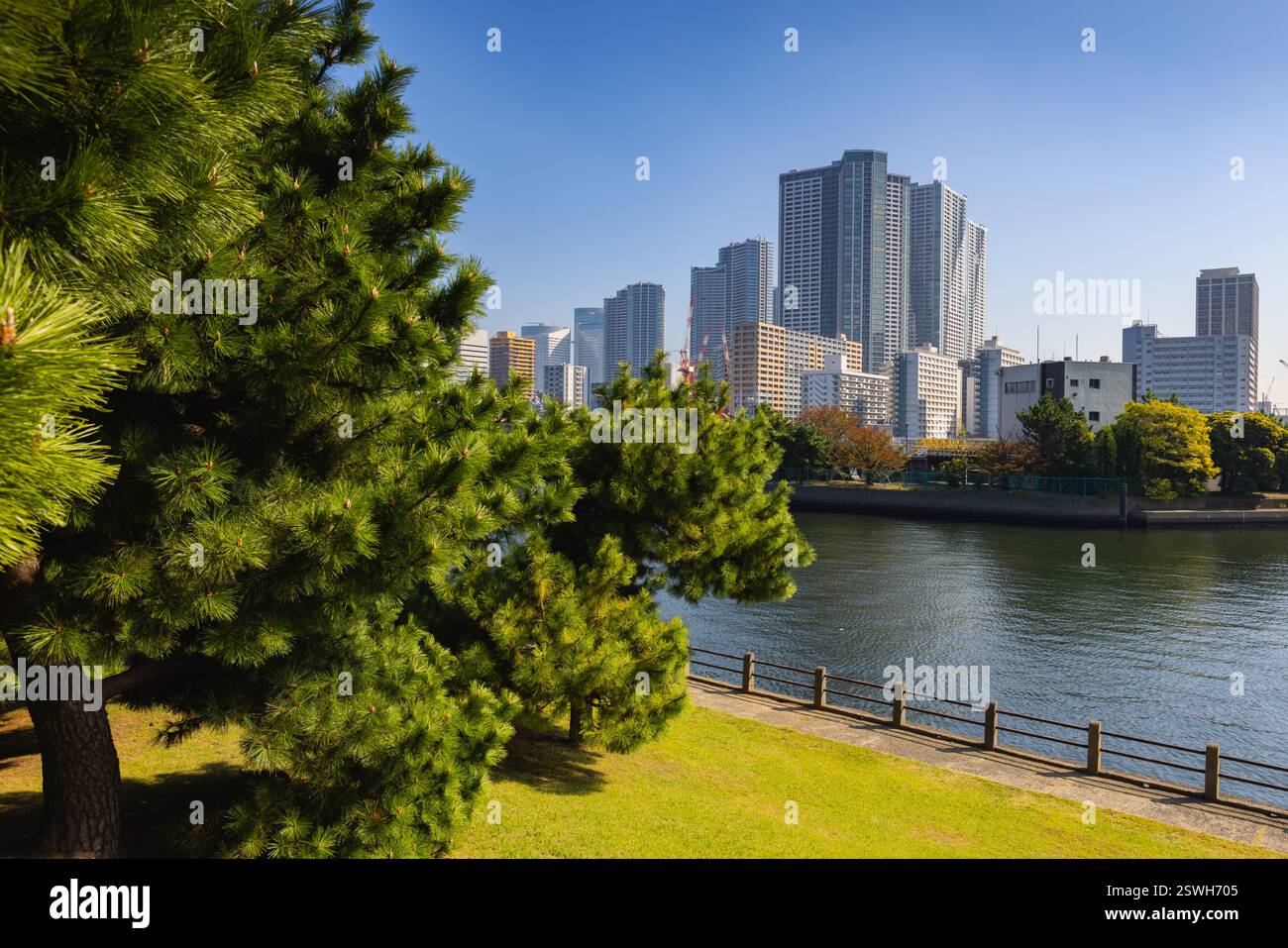 All'interno dei giardini Hamarikyu. E' un parco pubblico a Chuo Ward, To Foto Stock