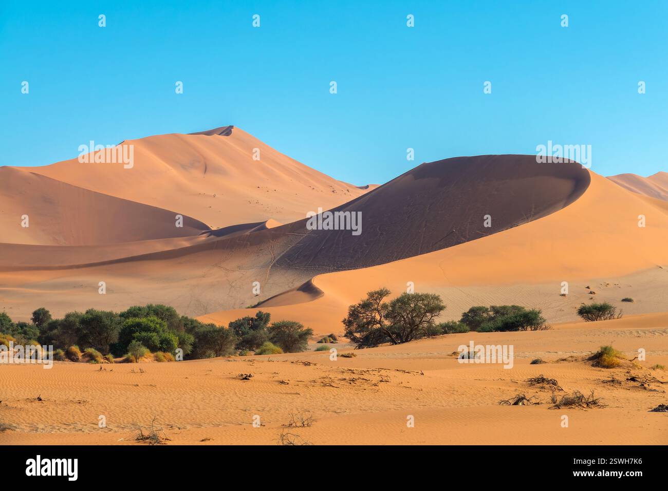 Vista della duna di sabbia Big Mamma all'alba a Sossusvlei, parco nazionale Namib Naukluft, paesaggio panoramico della Namibia, Africa Foto Stock